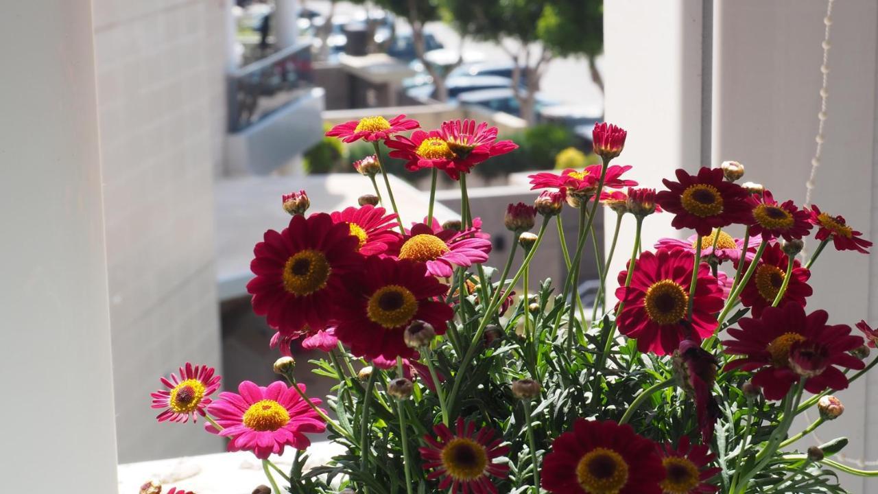 Appartement Chill For An Ibiza Experiencience *